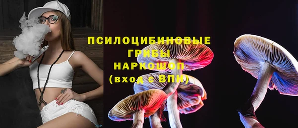 стафф Яранск