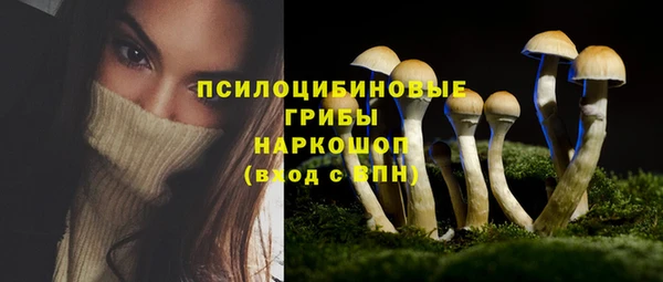 твердый Абинск