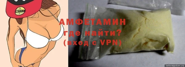 сатива Новокубанск